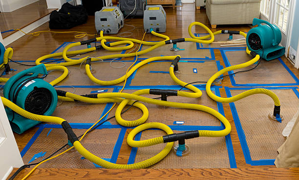 Professional Crawl Space Water Removal technician working in Marshfield, WI